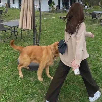 逝者难眠